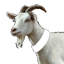 goat